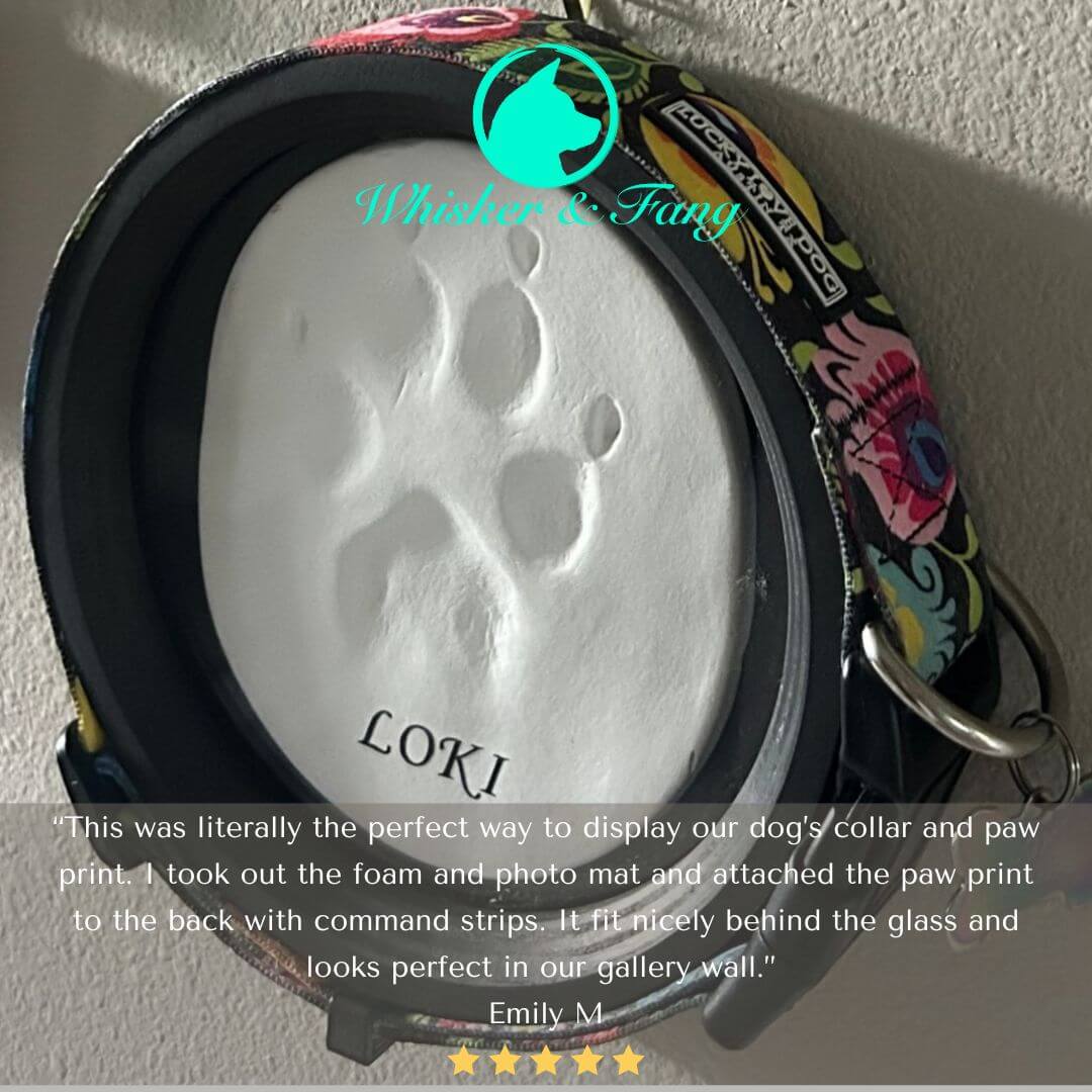 Colorful dog collar frame displaying a clay paw print impression with engraved name Loki, testimonial about pet loss display