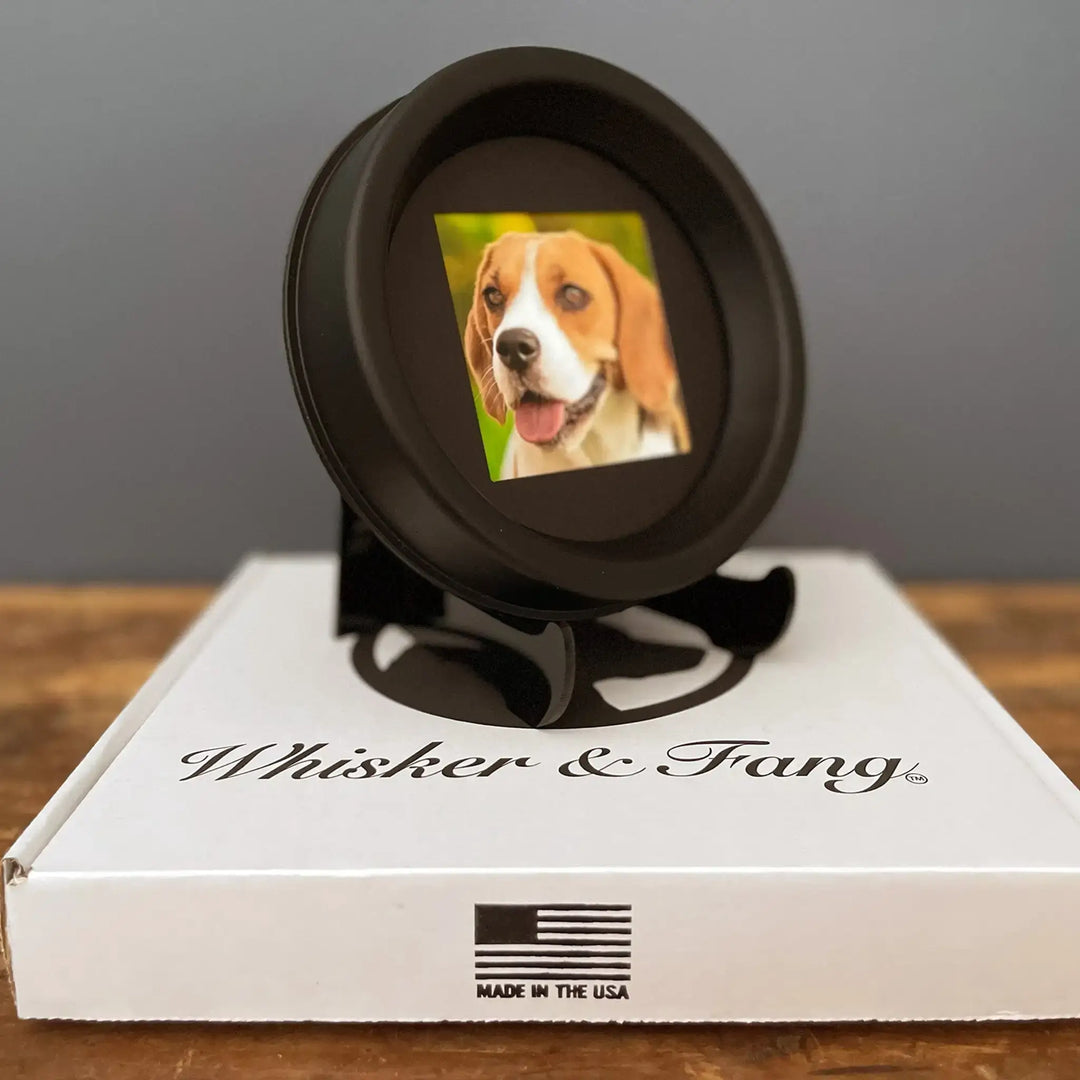 Beagle collar memory frame with photo, shown atop a Whisker & Fang branded box labeled Made in the USA. Memorial display for dogs