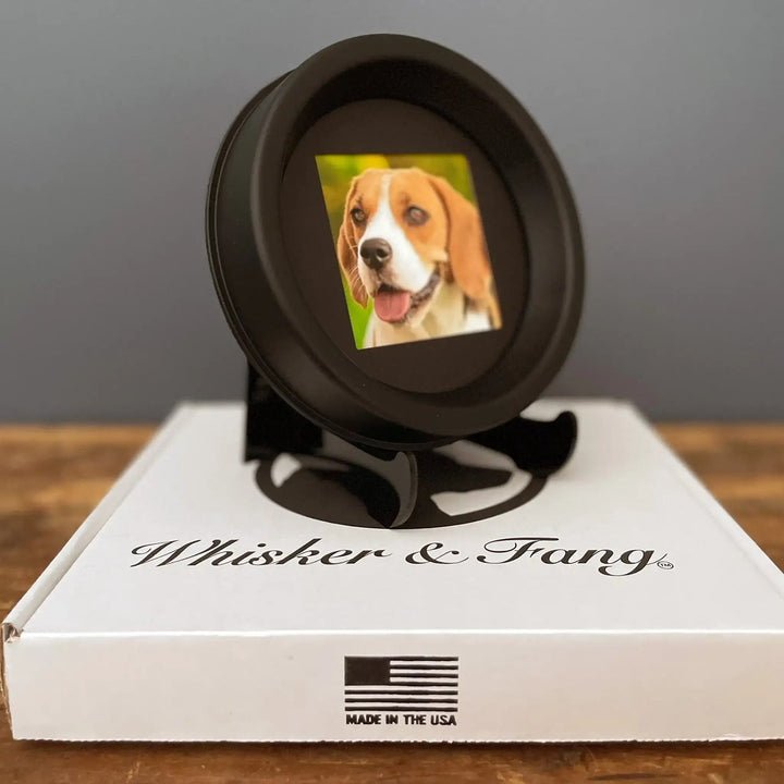 Beagle collar memory frame with photo, shown atop a Whisker & Fang branded box labeled Made in the USA. Memorial display for dogs