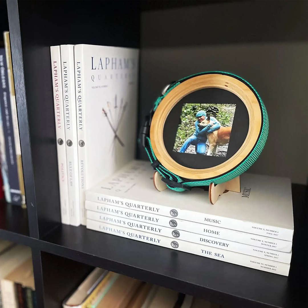 Medium wooden Beagle size Halo Frame with teal collar and beagle photo, sitting on a bookshelf next to a stack of books. | Tribute for pets