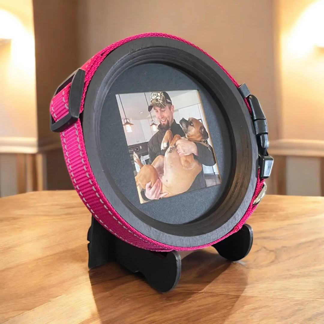 Whisker & Fang medium Beagle pet memorial frame in black-stained wood, featuring a vibrant pink collar and a photo of a dog with its owner, displayed on a tabletop stand.