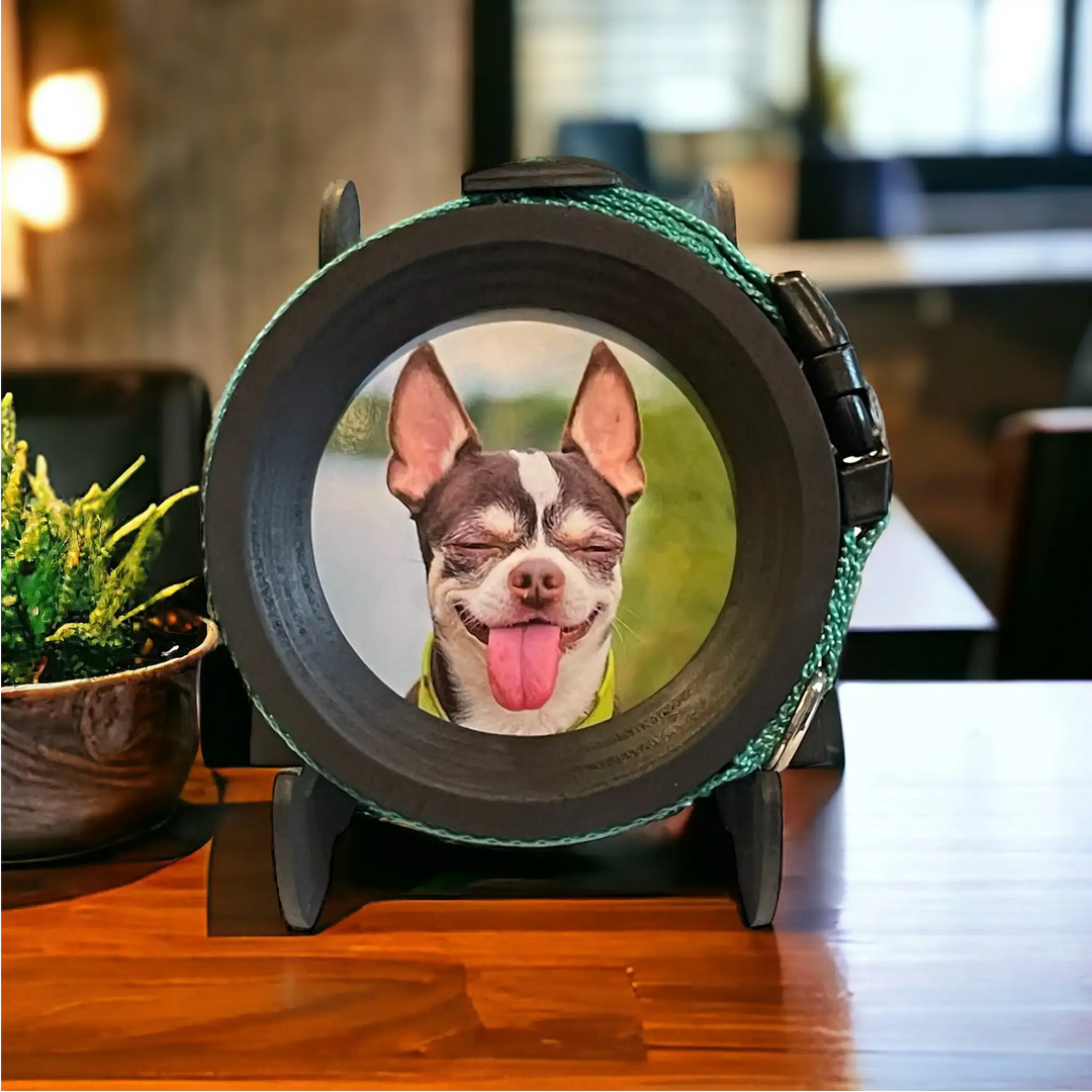 Chihuahua collar tribute frame with mint green strap and wooden base, featuring a smiling dog photo by Whisker & Fang.