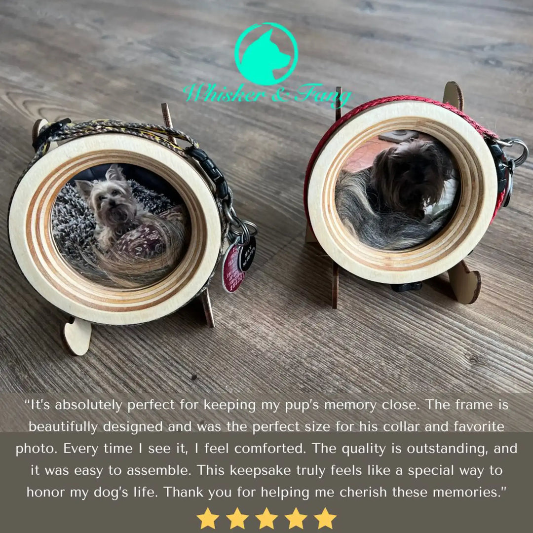 Small dog collar keepsake frames by Whisker & Fang featuring terrier memorial photos and heartfelt customer testimonial.