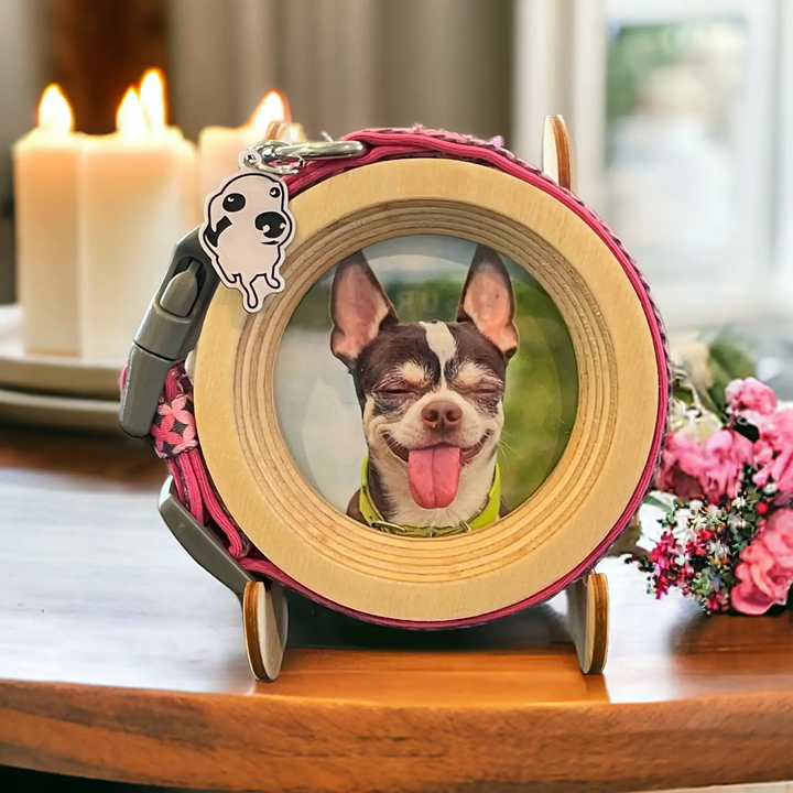 Pink dog collar remembrance frame with floral display and lit candles, showcasing a Chihuahua photo in a wood Halo Frame.