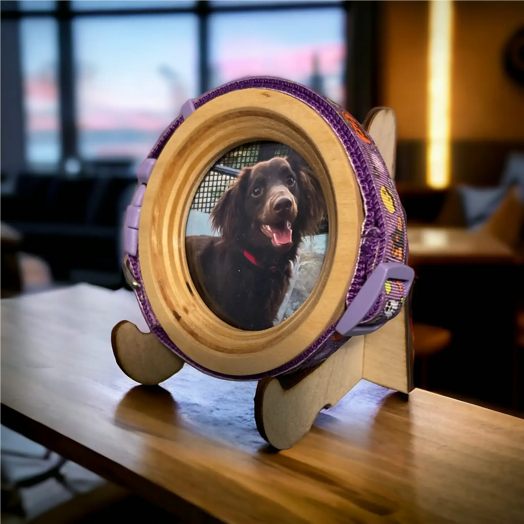 Small dog memorial frame and collar display for Chihuahua-sized pets, shown with purple collar and smiling brown dog photo on a wooden stand – Whisker & Fang pet keepsake.