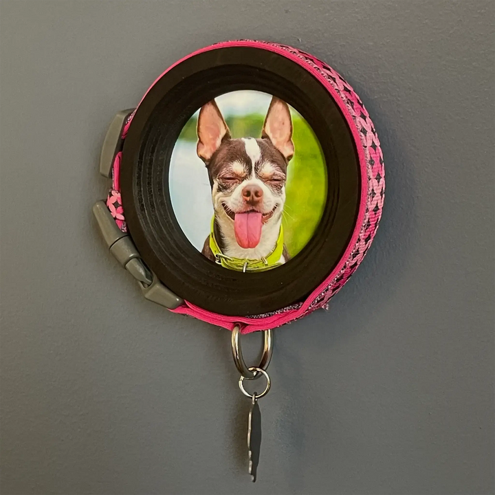 Chihuahua dog collar frame with pink patterned collar and key ring, mounted on a wall with happy