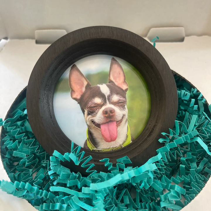 Small Dog Collar Frame | "The Chihuahua"