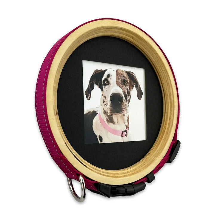 Great Dane dog collar memory frame with pink strap and wood border, displaying a close-up photo of a spotted Great Dane.