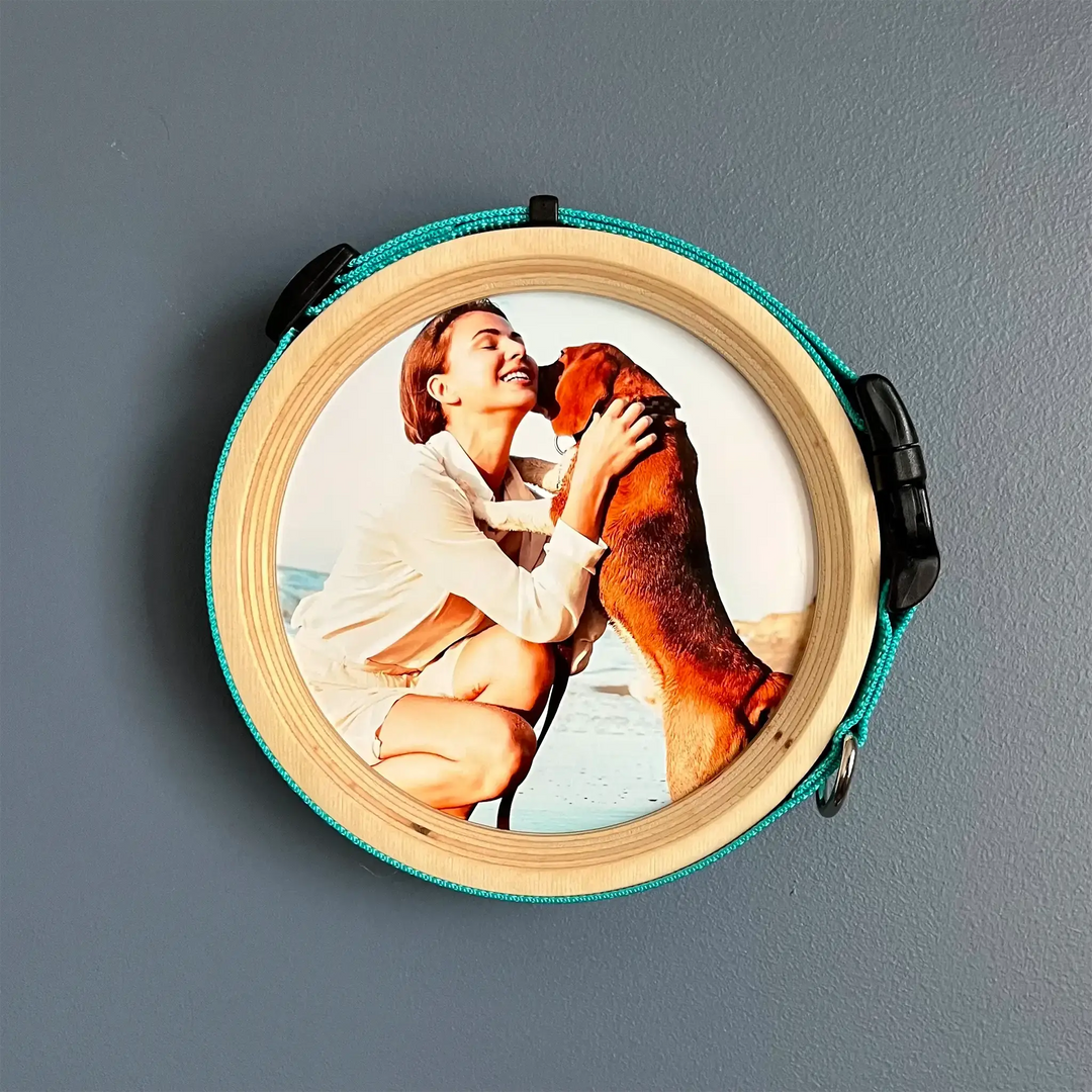Wall-mounted extra large pet collar frame featuring a woman hugging her dog on the beach, displayed with a teal collar.