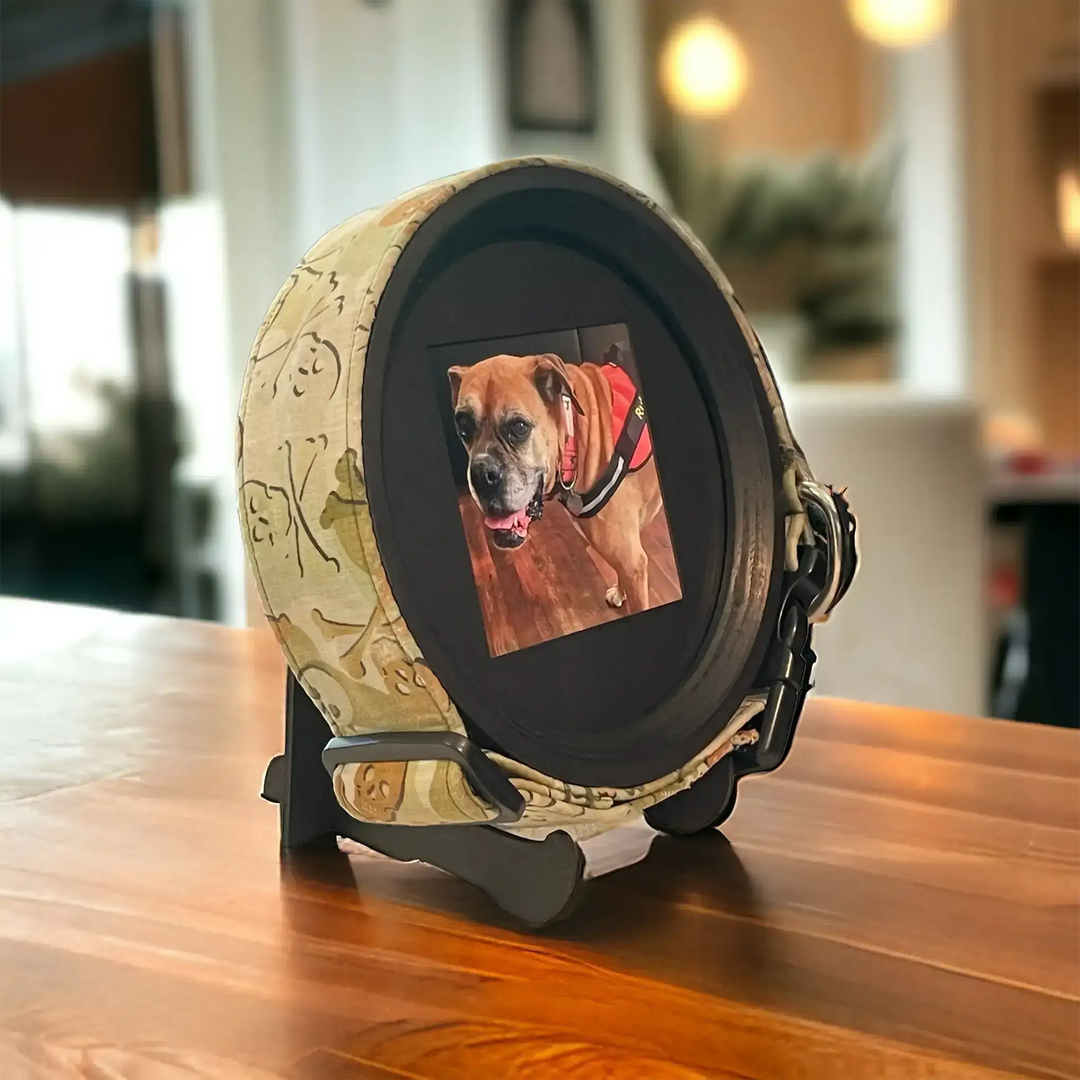 Extra large dog collar memorial frame by Whisker & Fang featuring a tan Boxer photo and bone-patterned collar on a wooden stand.