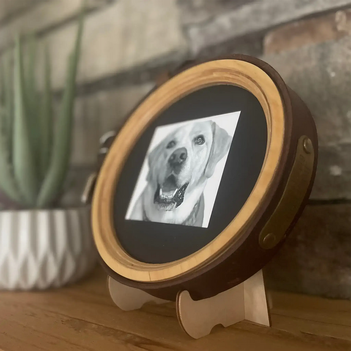 Labrador dog collar tribute frame in extra large size by Whisker & Fang, featuring a black and white pet photo on wooden stand.