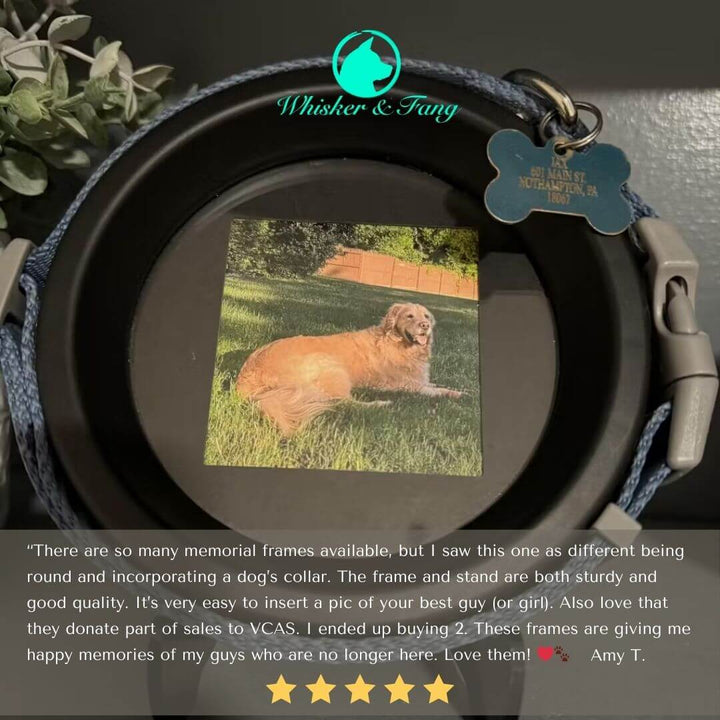 Golden Retriever pet memorial frame with a black collar and customer testimonial, created by Whisker & Fang. -pet loss gift