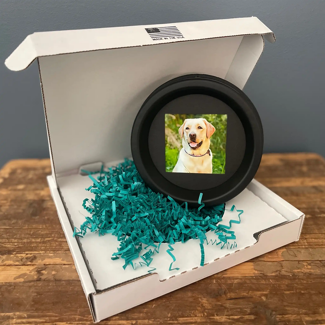 Dog collar memorial frame in eco-friendly mailer box with teal crinkle paper, featuring Labrador photo and Made in the USA label  Pet tribute