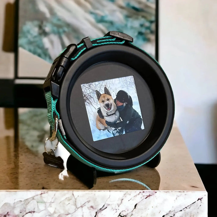 Akita dog collar keepsake frame with mint green collar and snow scene photo, displayed on a marble surface.
