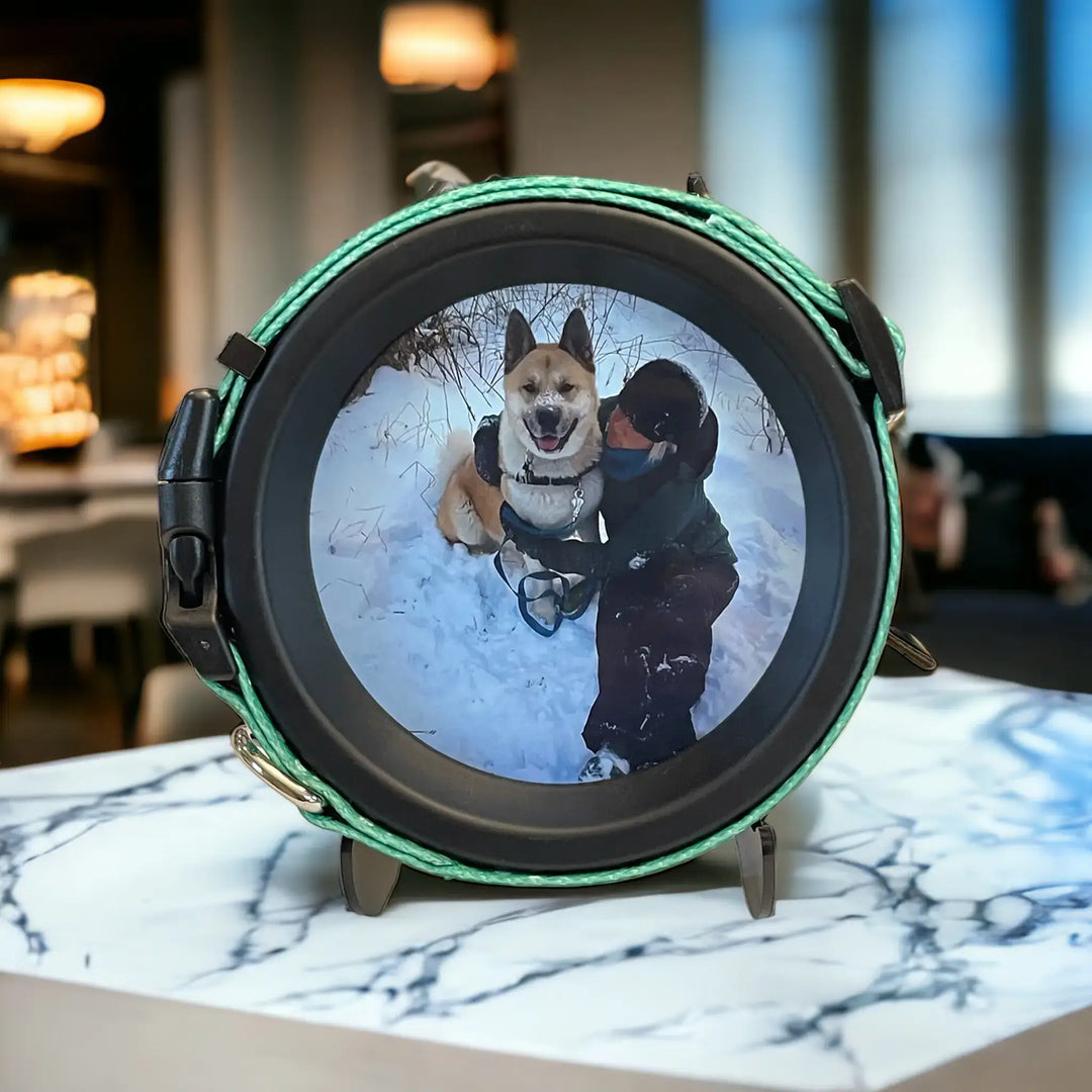Round dog collar frame displayed on marble table with photo of person and dog in snowy scene, green collar included