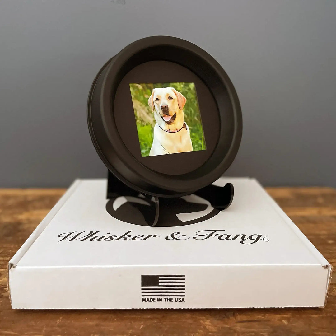 Pet memorial picture frame in a gift-ready setup, the perfect pet loss sympathy gift.