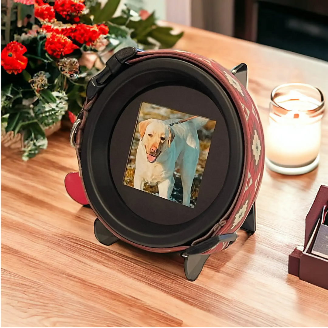 Pet Remembrance Frame for Displaying Collars & Photos