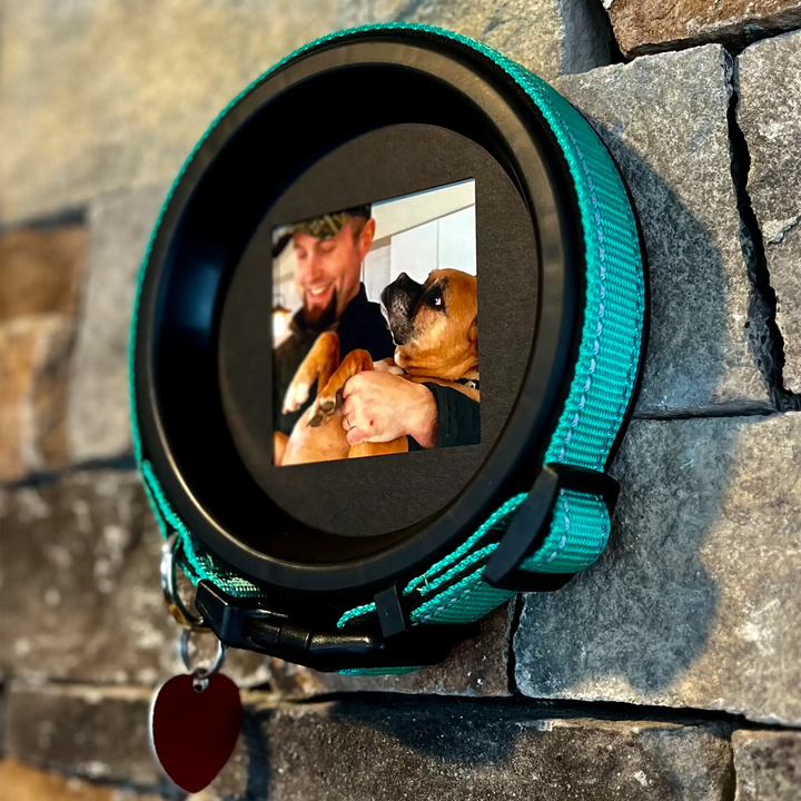Teal dog collar memory frame on stone wall featuring photo of man holding his Boxer dog with love
