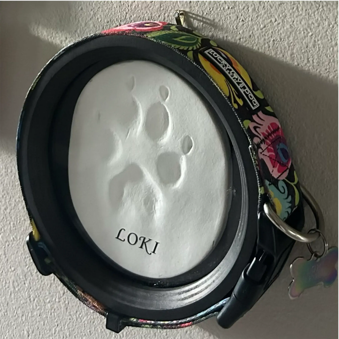 Dog Memorial Collar and Pawprint Display