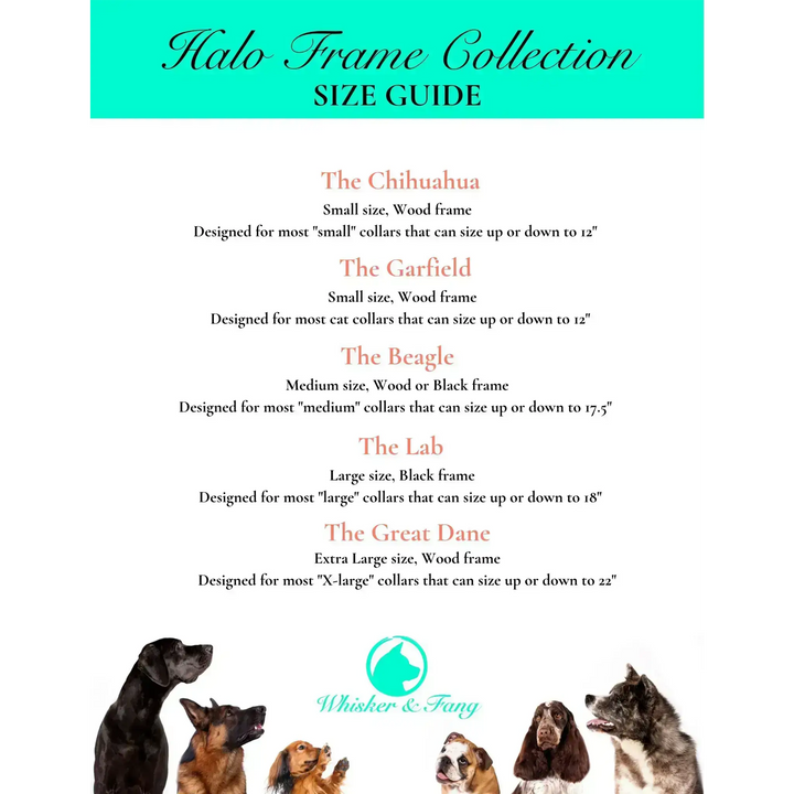 Size guide for Halo Frame Collection by Whisker & Fang, showing frame sizes from Chihuahua to Great Dane and collar compatibility