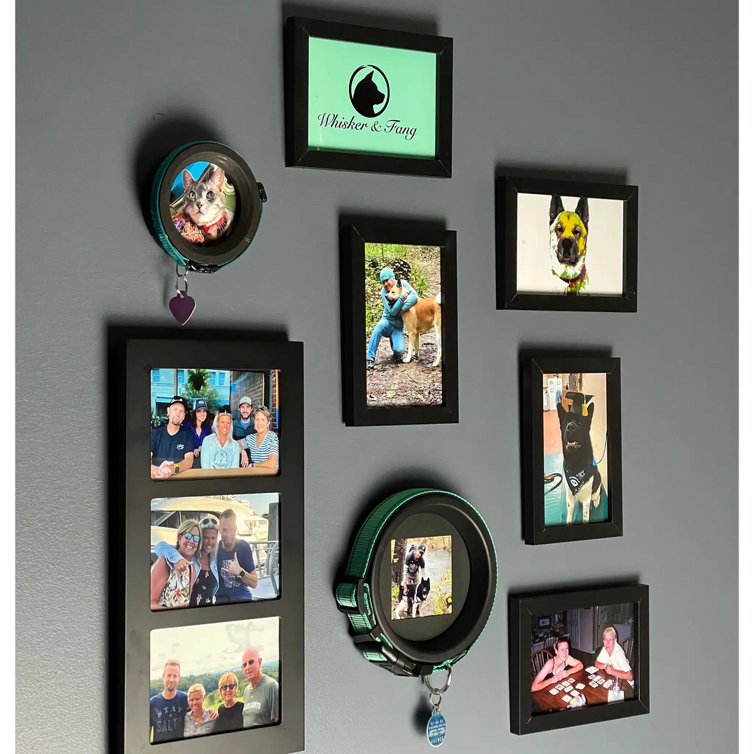 Gallery wall featuring Whisker & Fang pet collar frames and family photos, showing custom pet memorial display ideas