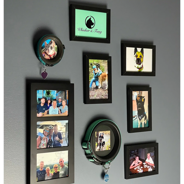 Gallery wall featuring Whisker & Fang pet collar frames and family photos, showing custom pet memorial display ideas