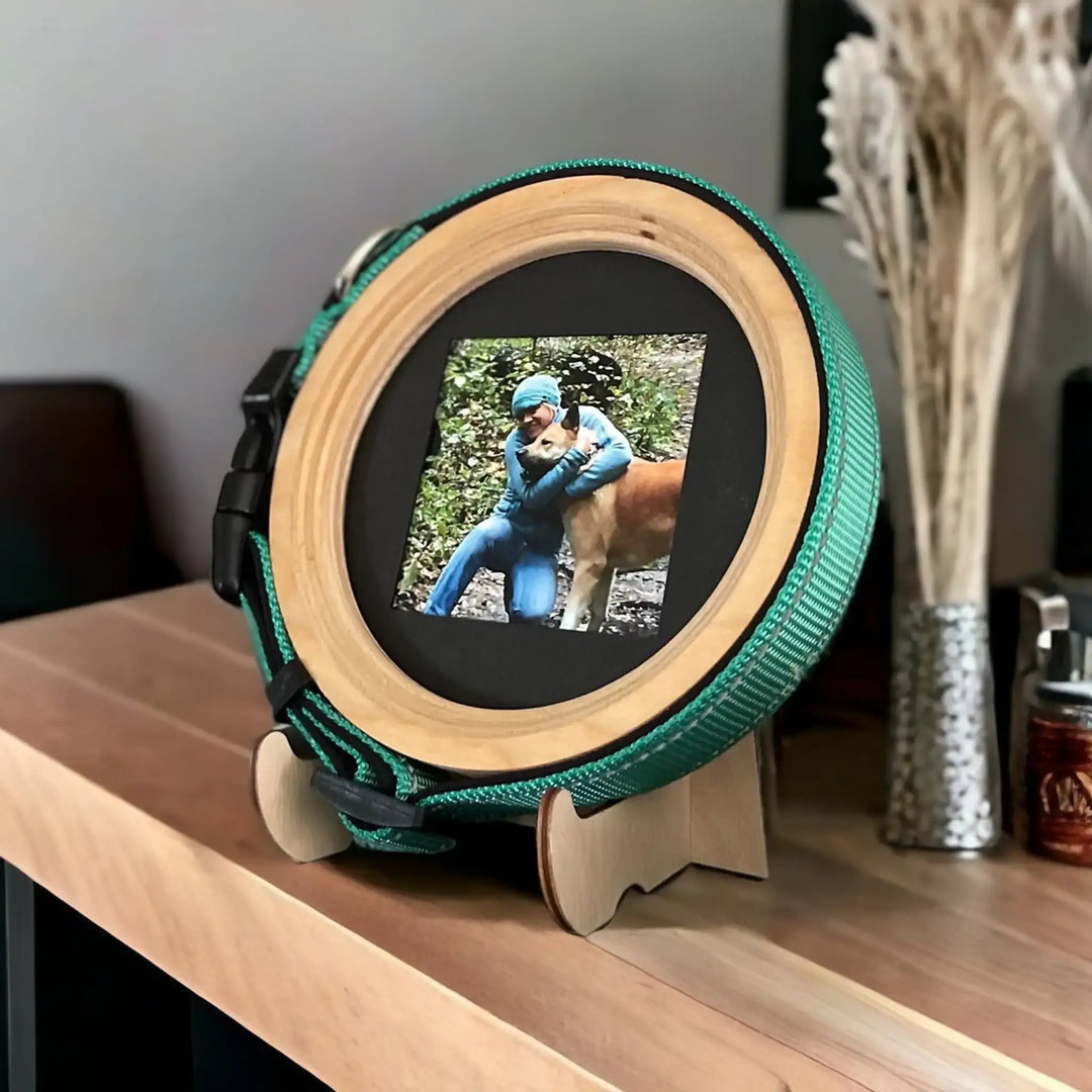 Medium wooden Beagle size pet collar frame with a teal collar and a photo of a hiker and their dog, displayed on a wood shelf. | Pet loss gift