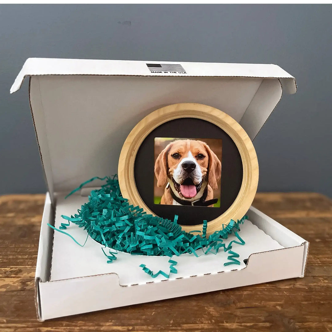 Medium wooden Beagle size Halo Frame in a shipping box, featuring a beagle photo and Whisker & Fang packaging.