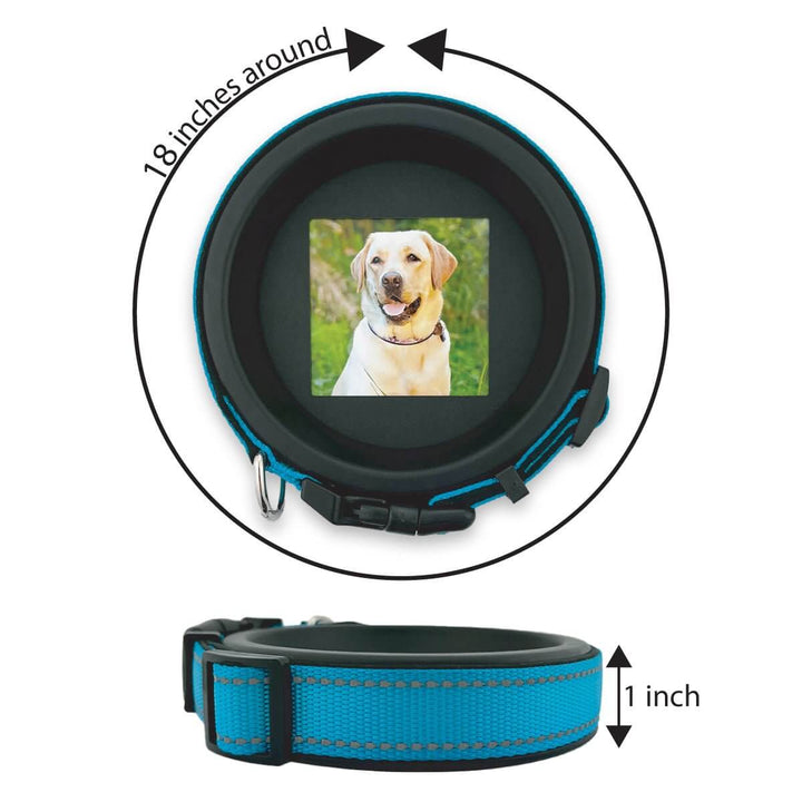Labrador collar frame with blue collar and photo, showing 18-inch round size and 1-inch wide collar fit. - Pet Loss Gift