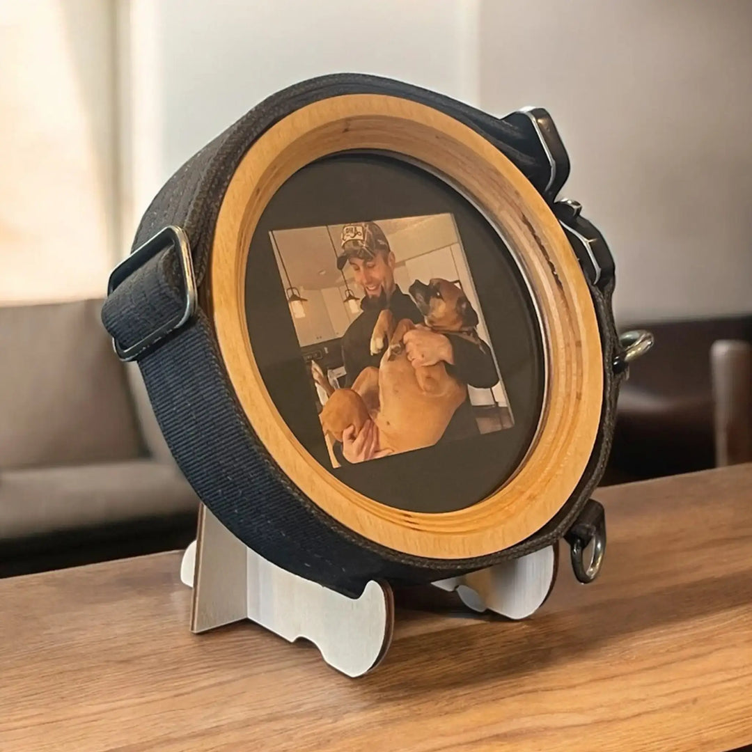 dog collar picture frame memorial display