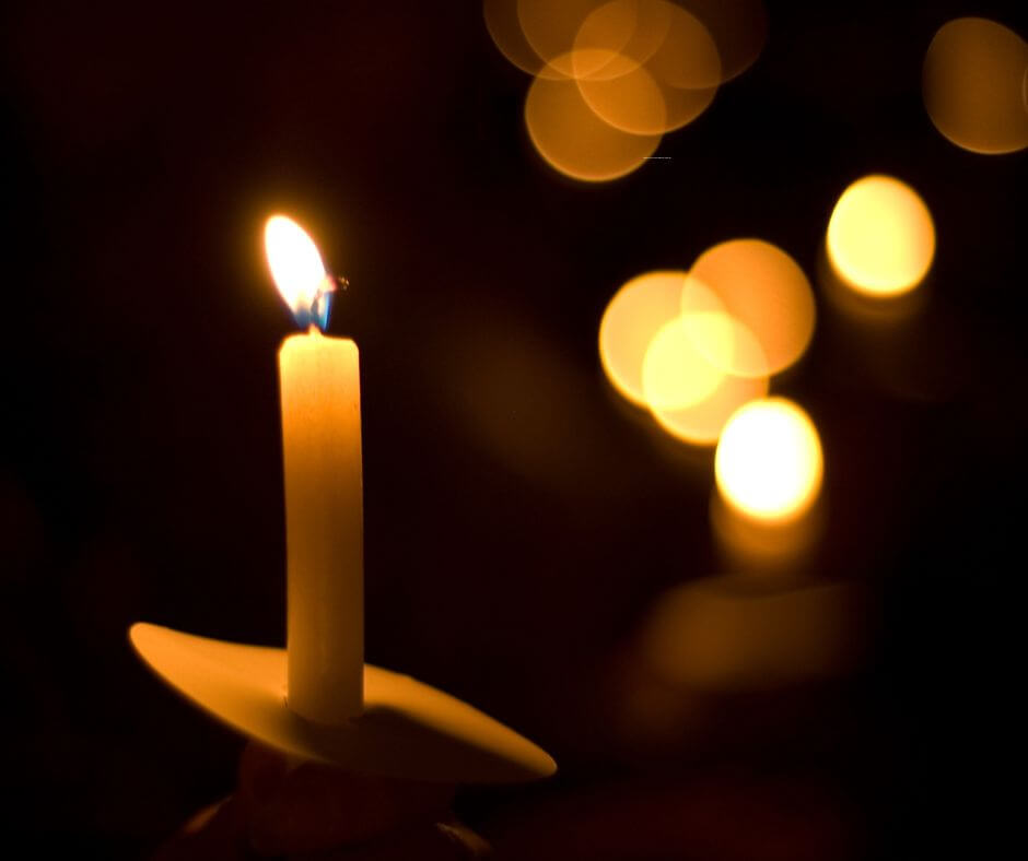 Virtual Pet Memorial