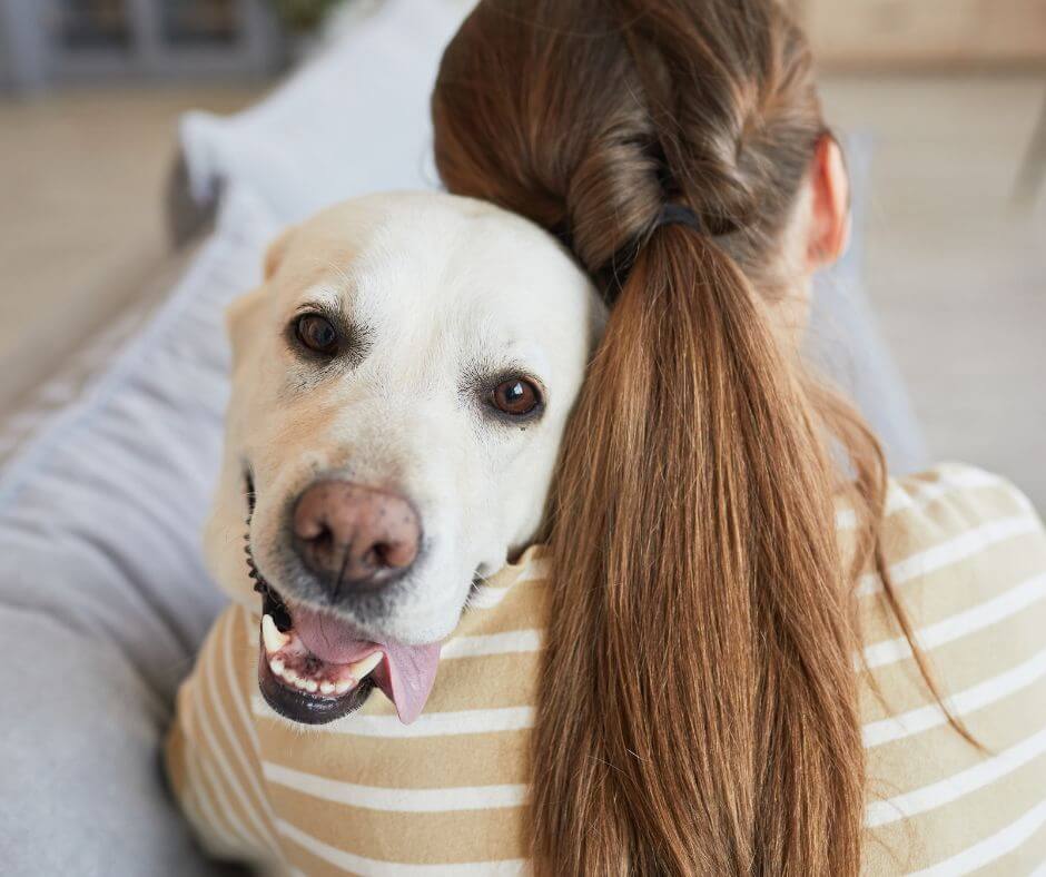 Pet Loss Rituals and Remembrance 