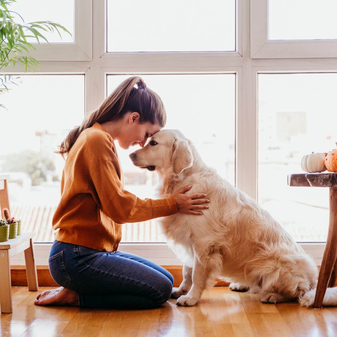 health benefits of pet companionship