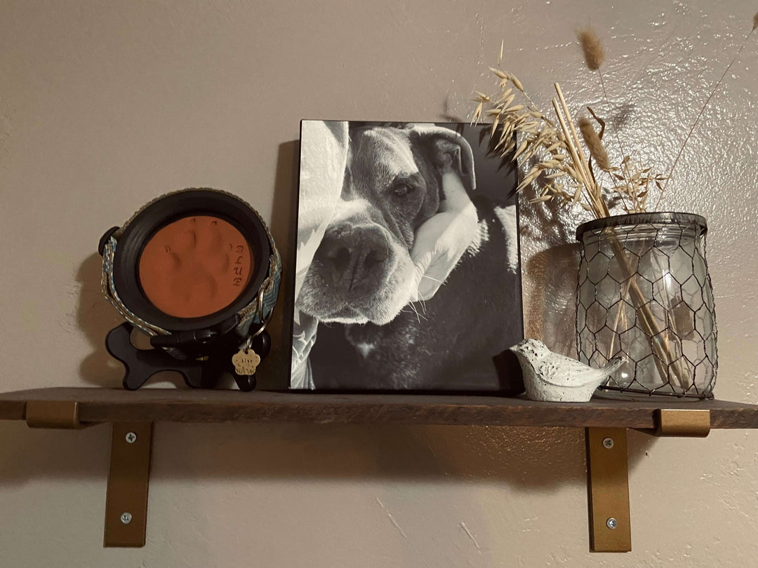 dog memorial display