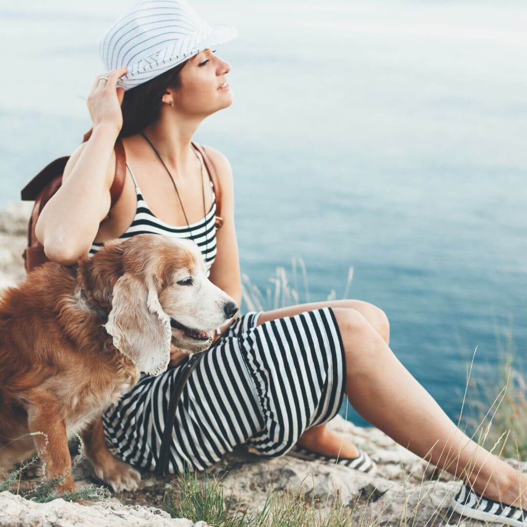 bucket list for your senior pet