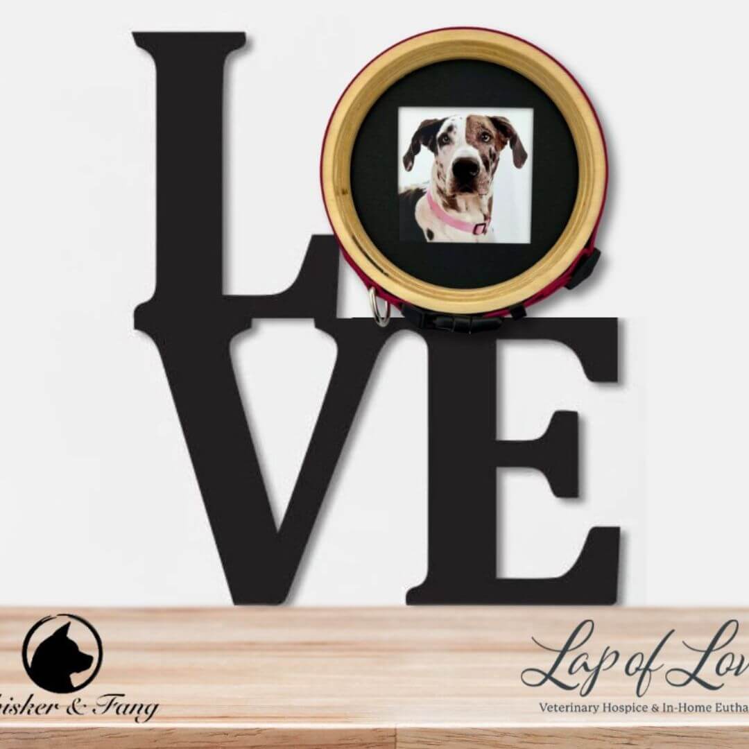 Lap of Love Veterinary Hospice