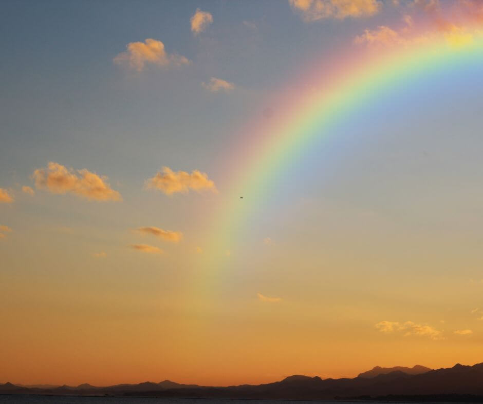 What Is Rainbow Bridge Remembrance Day? A Day to Honor the Pets We’ll Never Forget