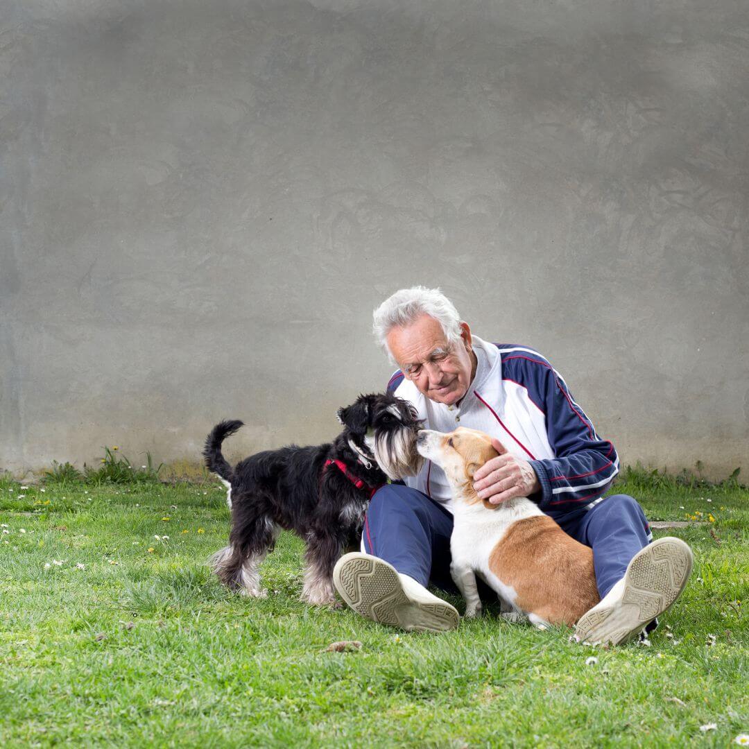planning for your pet's future; pet care planning