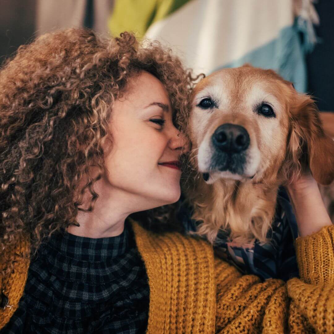 Pets are family