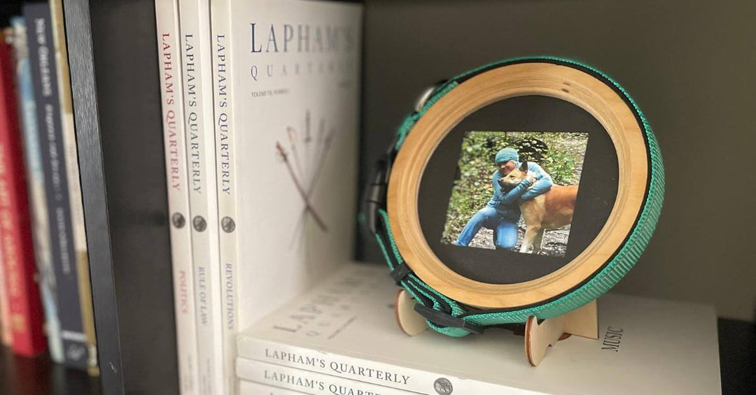 dog collar memorial picture frame display