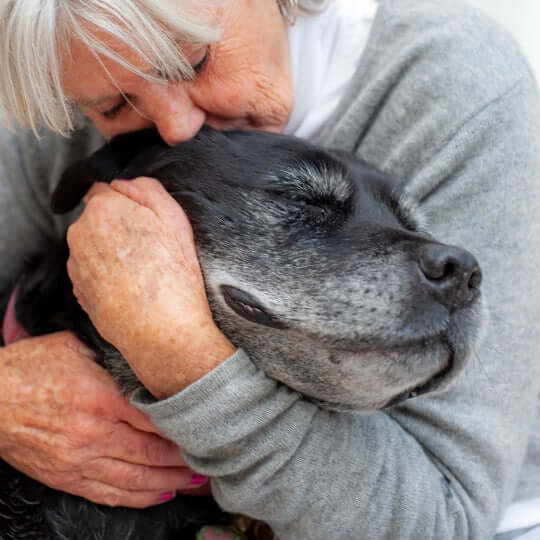 cuddling a senior dog