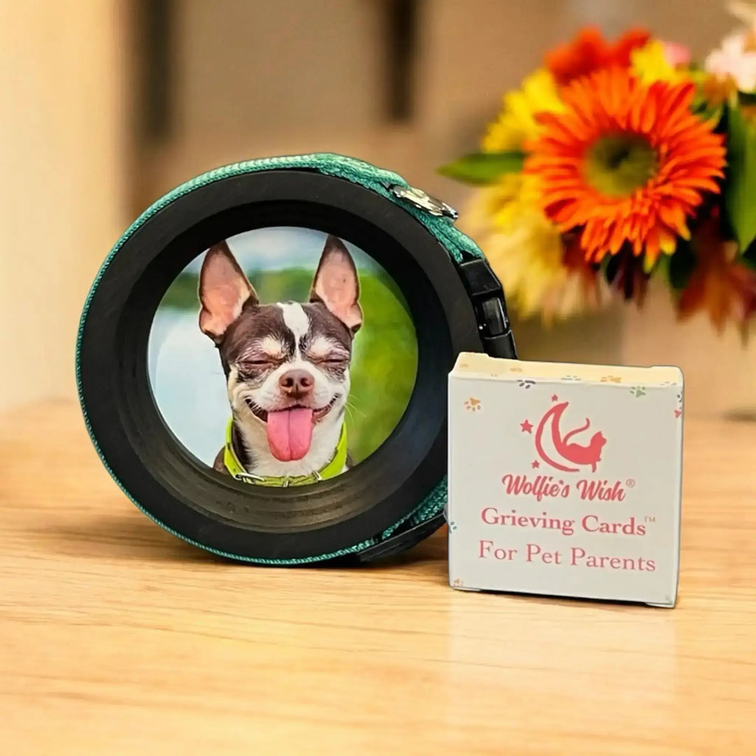 Pet memorial gift display with dog collar frame, candle, and flowers honoring a beloved dog