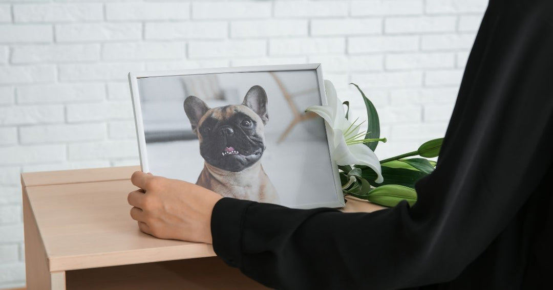 Friend comforting a grieving pet owner after the loss of a beloved dog.