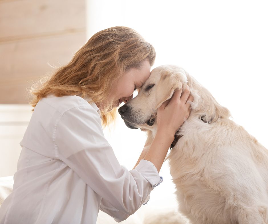 Pet Loss Grief Support
