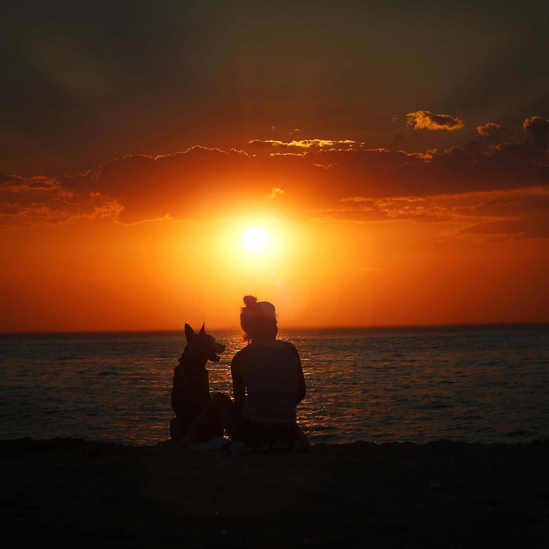 peaceful picture of a woman and her dog at sunset, reflecting coping with pet loss
