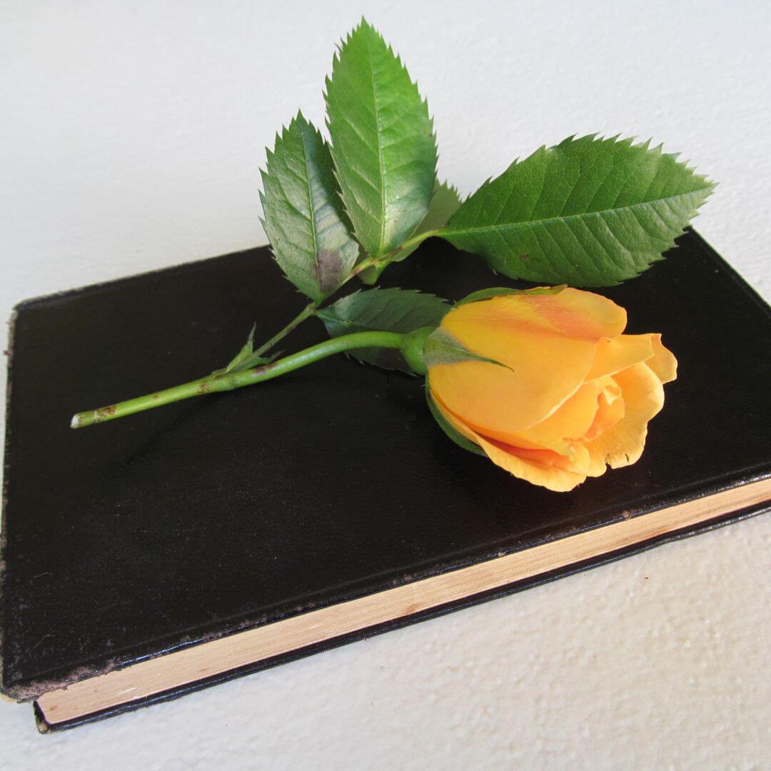 creating a pet memory book