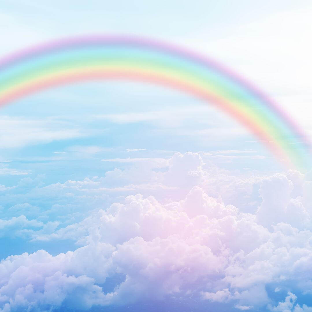 Memorialize your pet
