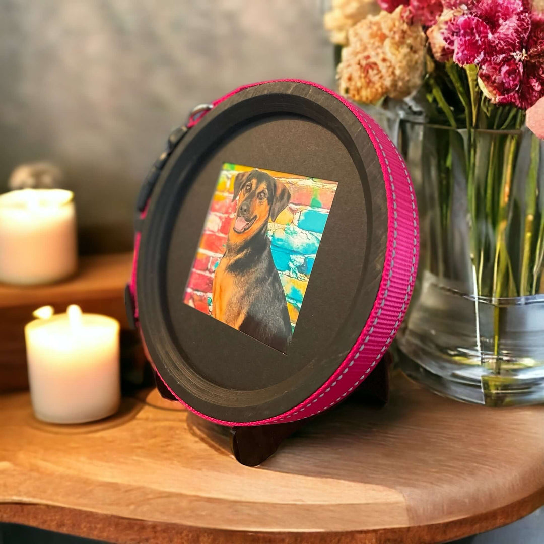 pet memorial display with dog collar frame