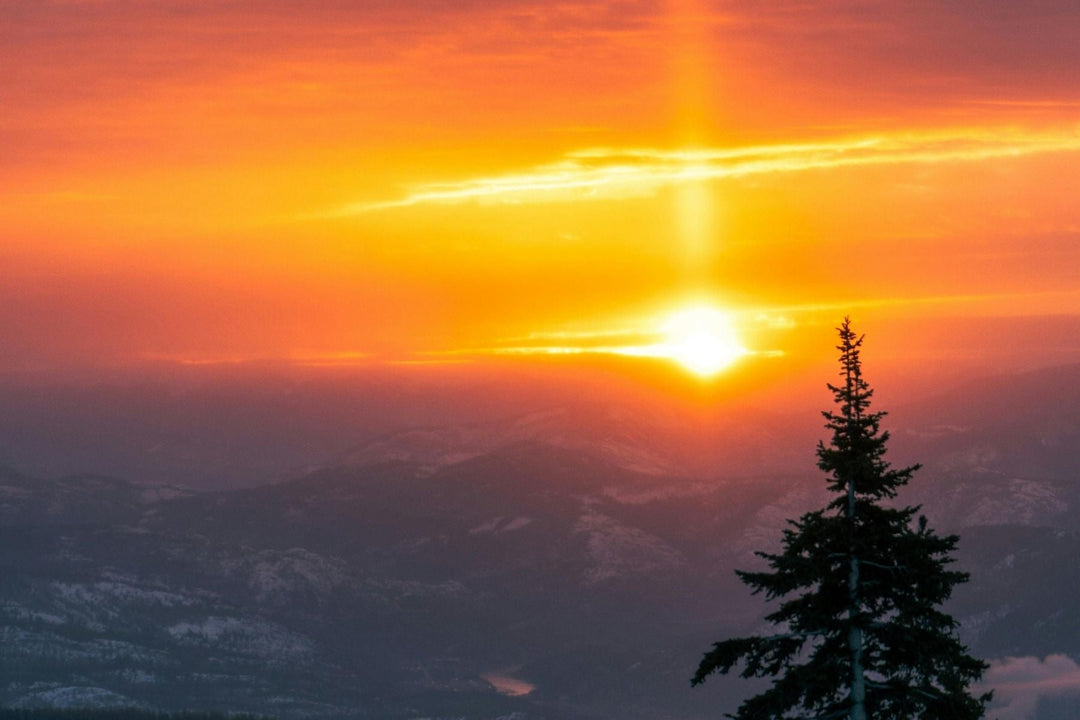 Soft morning light on a memorial display, symbolizing gentle healing in the new year.
