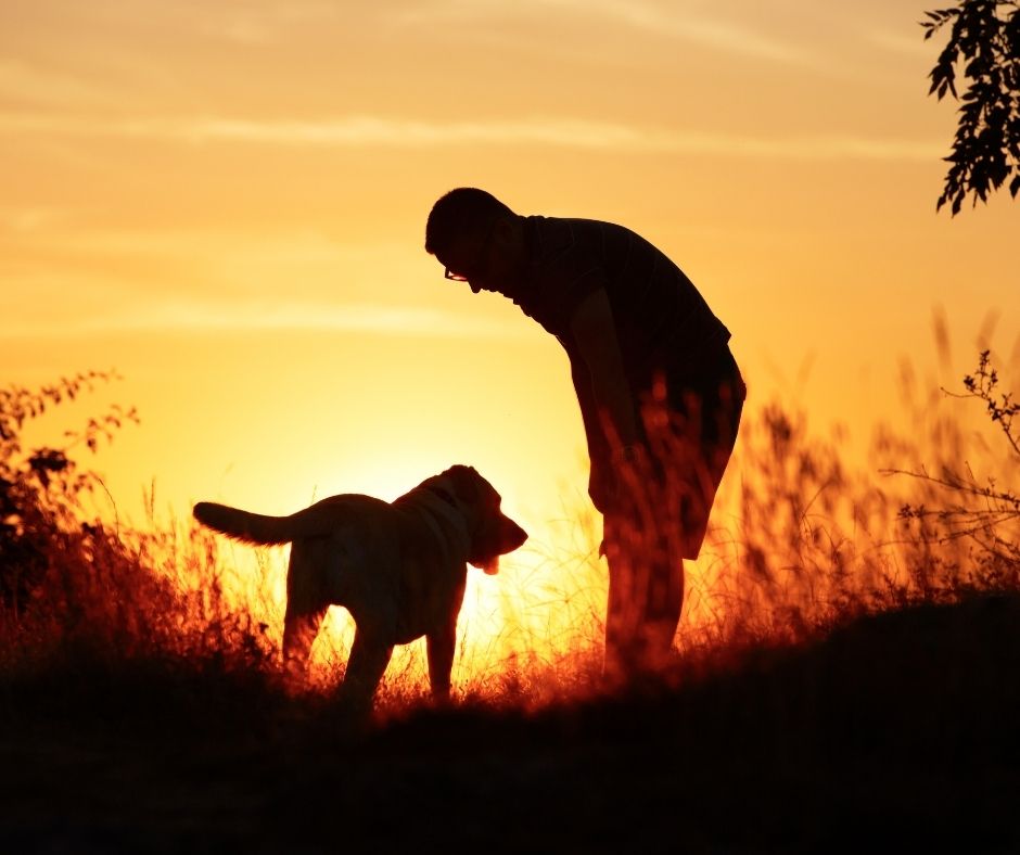 Starting a New Year Without Them: Small Steps Toward Healing in January